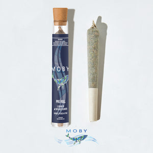 Delta 8 Infused Pre-roll - White Widow
