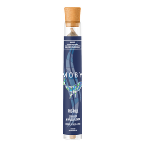 Delta 8 Infused Pre-roll - White Widow